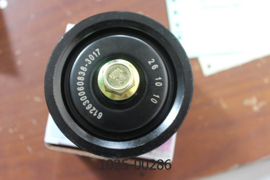 Ролик двигателя Weichai 1025-00286